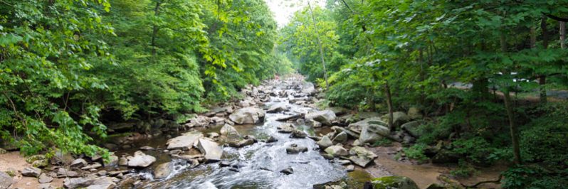 Les Assises de l’eau
