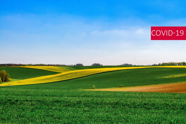 covid-delais-dt-rural COVID ET DÉLAIS : OÙ EN EST-ON CÔTÉ RURAL ?