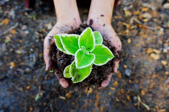 loi-asap-incidences-matiere-environnementale LOI N° 2020-1525 DU 7 DÉCEMBRE 2020 D'ACCÉLÉRATION ET DE SIMPLIFICATION DE L'ACTION PUBLIQUE (ASAP) : DES INCIDENCES EN MATIÈRE ENVIRONNEMENTALE