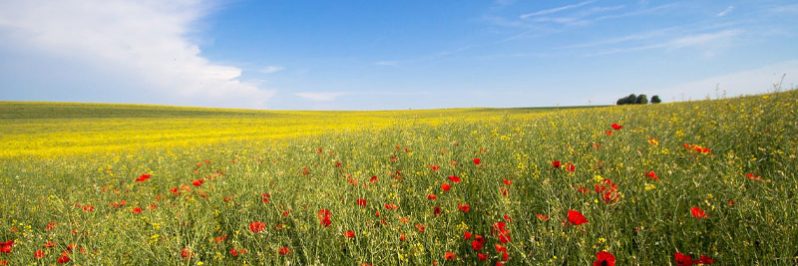 3e-hausse-consecutive-fermages TROISIÈME ANNÉE CONSÉCUTIVE DE HAUSSE DES FERMAGES