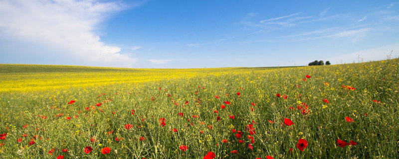 TROISIÈME ANNÉE CONSÉCUTIVE DE HAUSSE DES FERMAGES