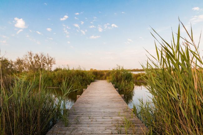 doit-de-preempion-espaces-naturels-senseibles DROIT DE PRÉEMPTION DANS LES ESPACES NATURELS SENSIBLES : LES DONATIONS DEVRONT ÊTRE PURGÉES À L’ÉGAL DU DPU