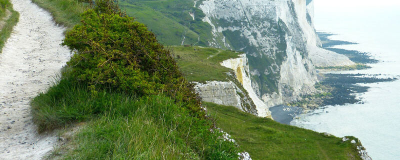 PROPRIÉTÉS PUBLIQUES, INSAISISSABILITÉ ET HYPOTHÈQUE LÉGALE : L’IMBROGLIO PERSISTE