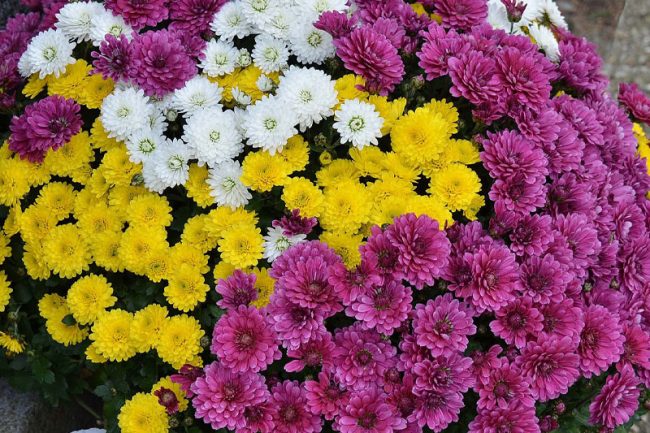 FERMETURE EXCEPTIONNELLE LE 31 OCTOBRE