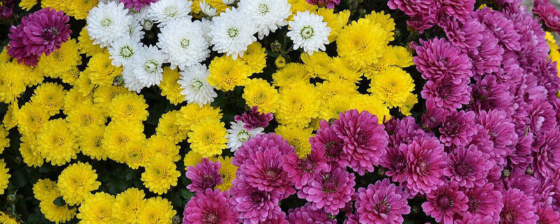 FERMETURE EXCEPTIONNELLE LE 31 OCTOBRE