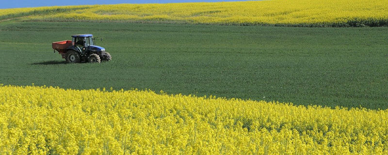 Loi Sempastous : Parution des seuils d’agrandissement significatifs applicables dans les régions Hauts-de-France et Grand-Est