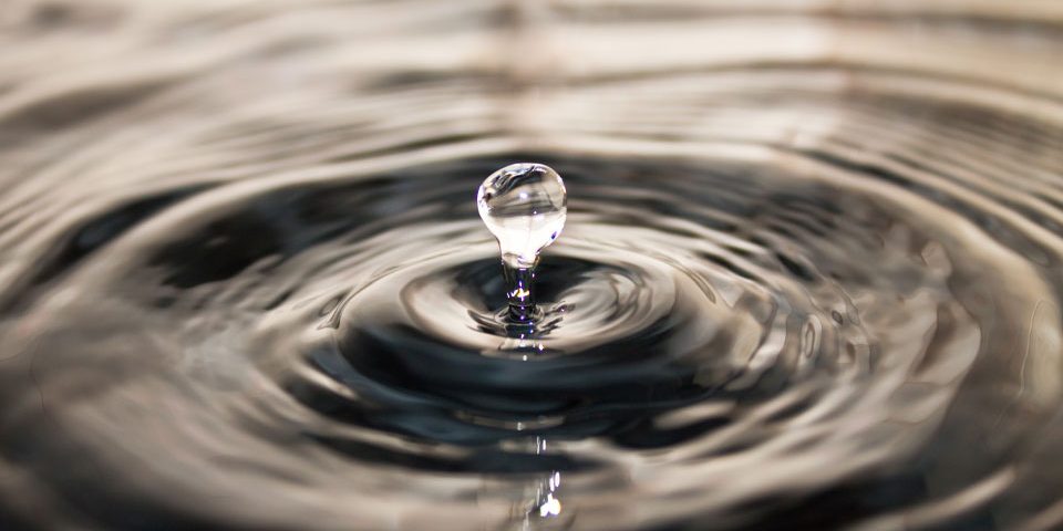 PROBLÉMATIQUES RURALES AUTOUR DE L’EAU