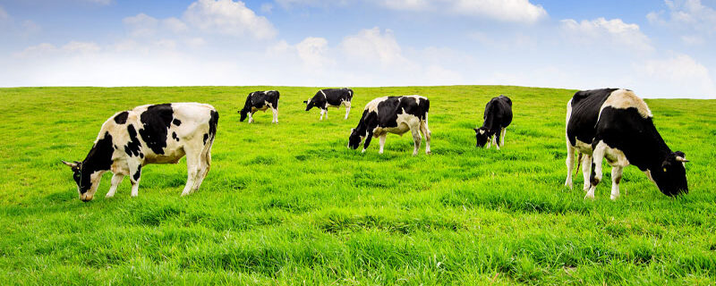 EXONÉRATION EN FAVEUR DE CERTAINS BIENS RURAUX : L’ADMINISTRATION CONFIRME LA SUPPRESSION DE LA CONDITION RELATIVE À LA DATE DU BAIL À L’ÉGARD DES TRANSMISSIONS RÉALISÉES À COMPTER DU 15 FÉVRIER 2025