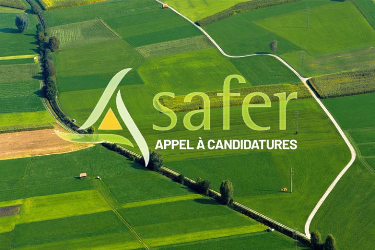 Appel à candidatures SAFER : un simple lien peut suffire Appel à candidatures SAFER : un simple lien peut suffire