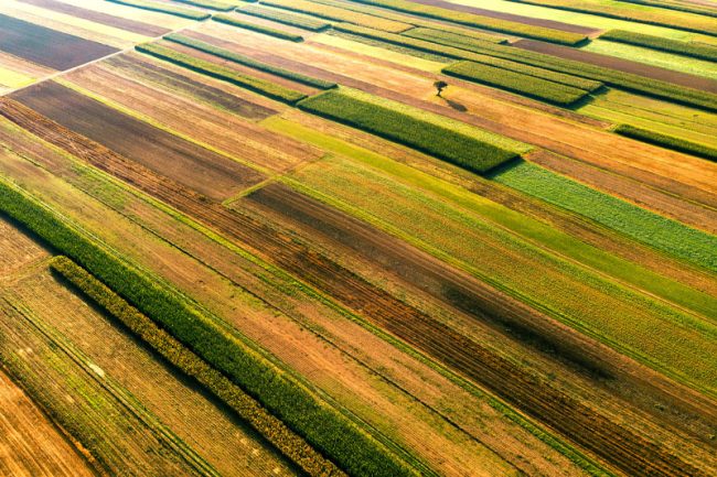 Droit de préemption du preneur rural : la Cour dissocie exercice immédiat et contrôle différé