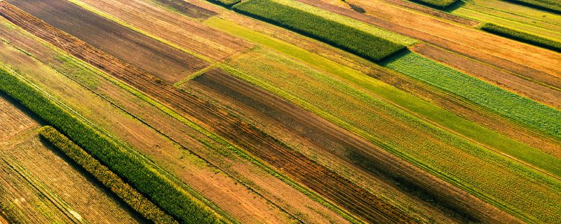 Droit de préemption du preneur rural : la Cour dissocie exercice immédiat et contrôle différé
