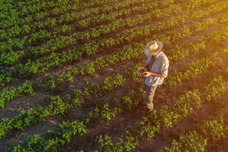 Loi agricole du 18 août 2026 : ce qui change pour la pratique notariale