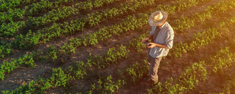 Loi agricole du 18 août 2026 : ce qui change pour la pratique notariale Loi agricole du 18 août 2026 : ce qui change pour la pratique notariale