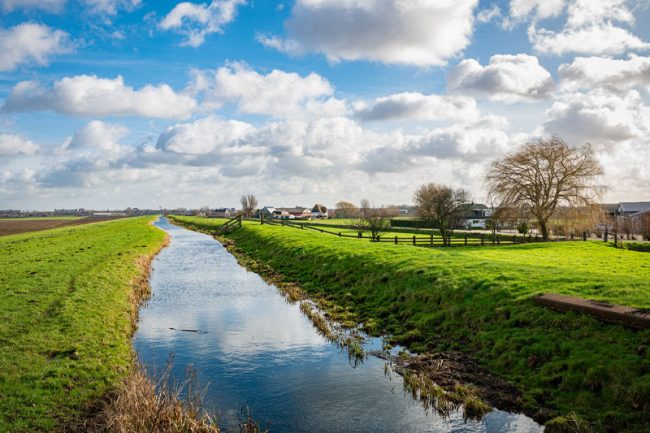« Gardiennes de l’eau » : un nouveau droit de préemption au sud de Lille
