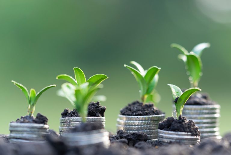 Le fonds agricole, entre pertinence et dissimulation